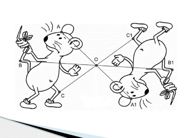 Симметрия относительно прямой (осевая симметрия)