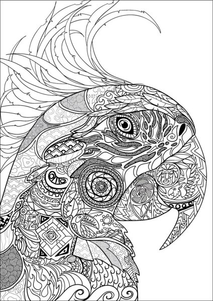 Раскраски сложные и красивые