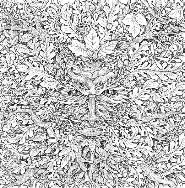 Mythomorphia Kerby Rosanes