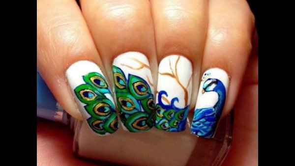 Маникюр Павлин