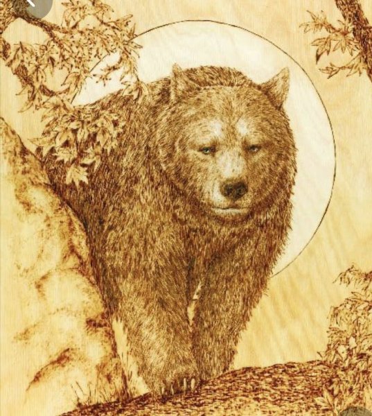 Черепаха для выжигания по дереву