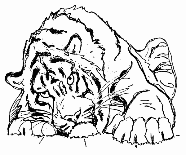 Рисунки для выжигания сложные