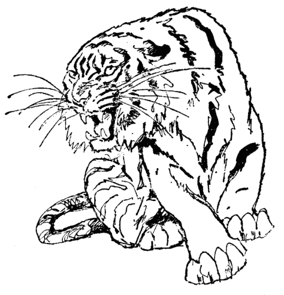 Китайский дракон раскраска