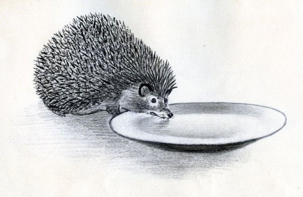 Михаил пришвин еж