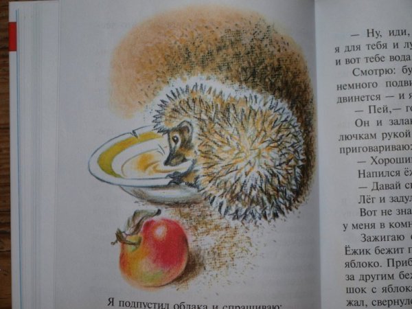 Михаил пришвин еж