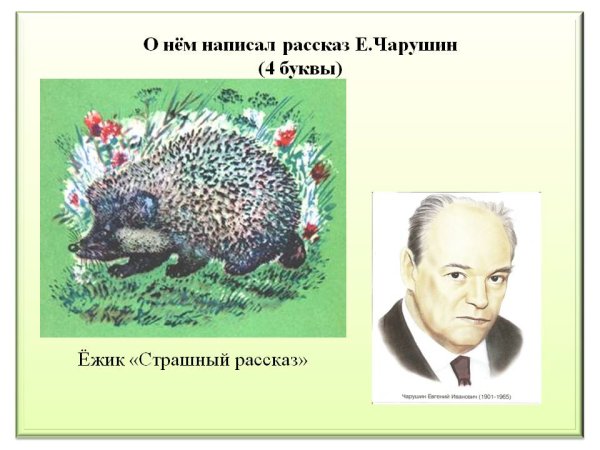 Евгений Чарушин Ежик