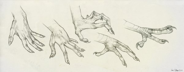 Костлявая рука рисунок