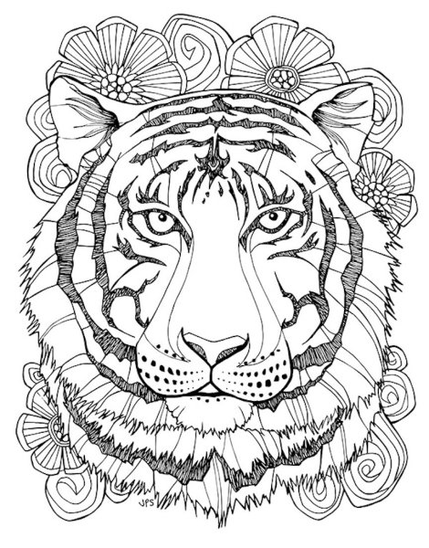 Тигр. Раскраска