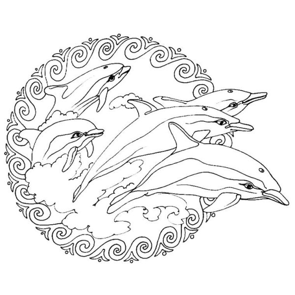 Красивый тигр раскраска