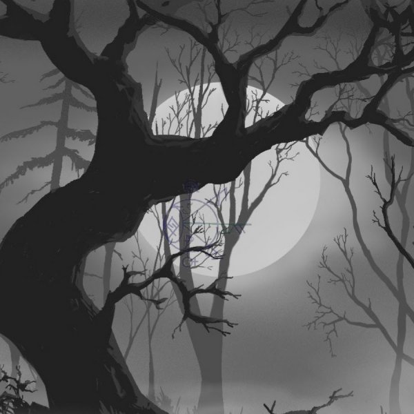 Мрачный лес карандашом