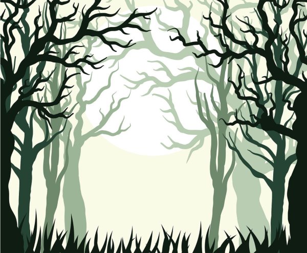 Контур леса