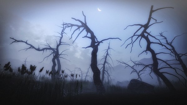 Жуткое дерево