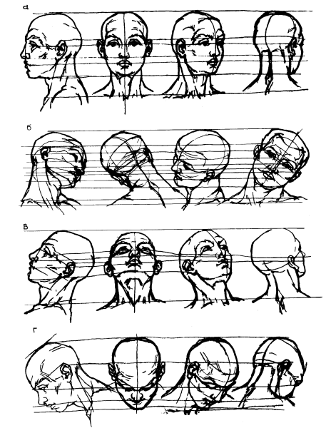 Голова человека в разных ракурсах