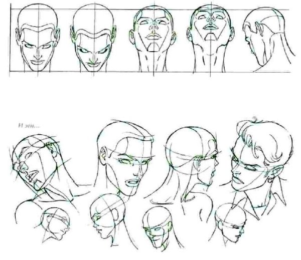 Голова в различных ракурсах