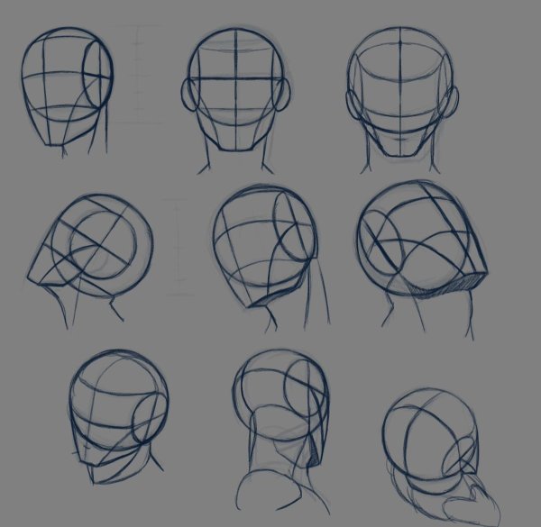 Построение головы человека метод Эндрю Лумиса