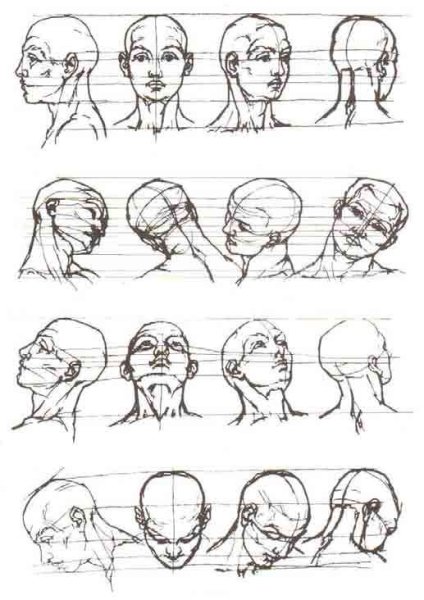 Зарисовки головы в разных ракурсах