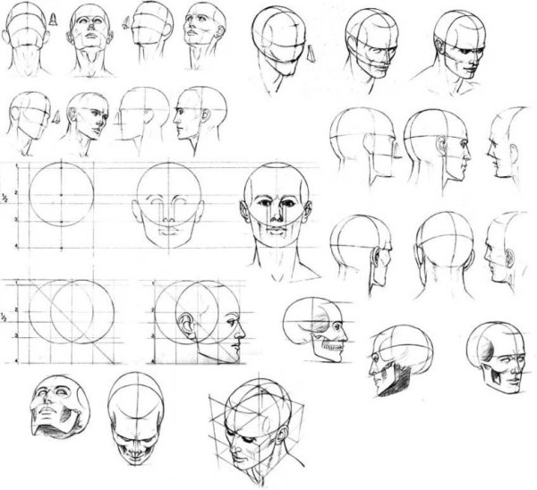 Ракурсы головы для рисования