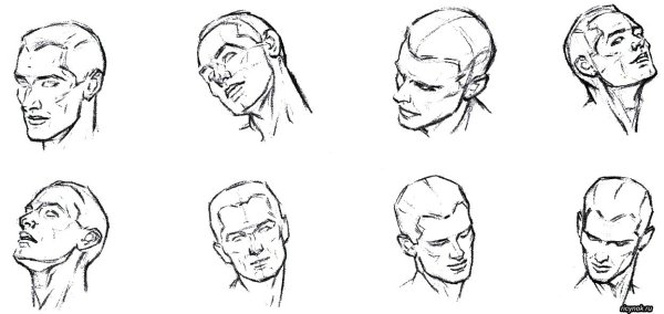 Голова снизу вверх референс