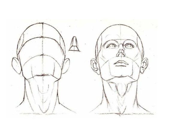 Человек поднял голову вверх