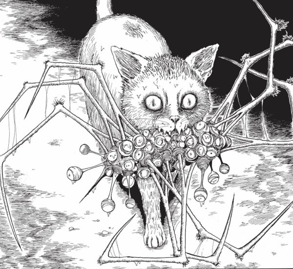 Кот Тима Бертона