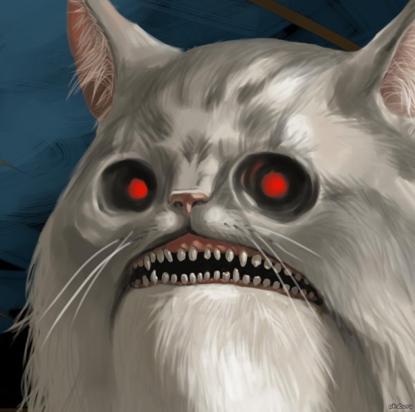 Сумасшедший кот