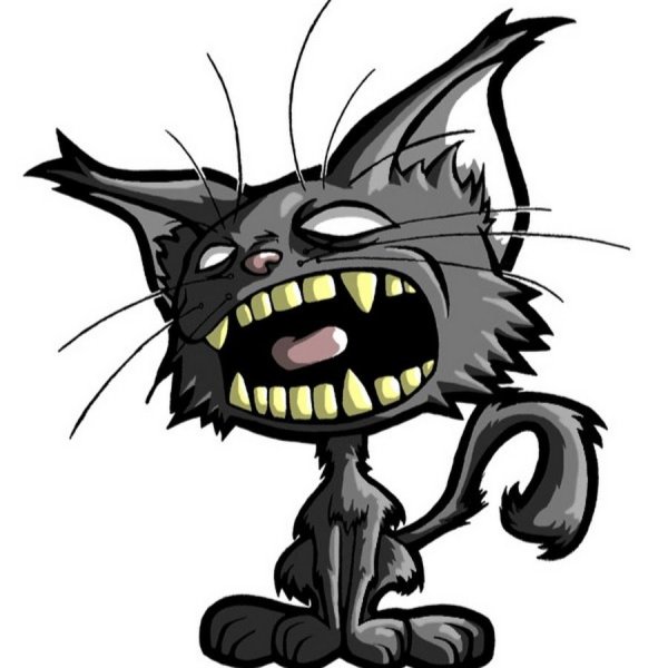 Сфинкс кошка референс