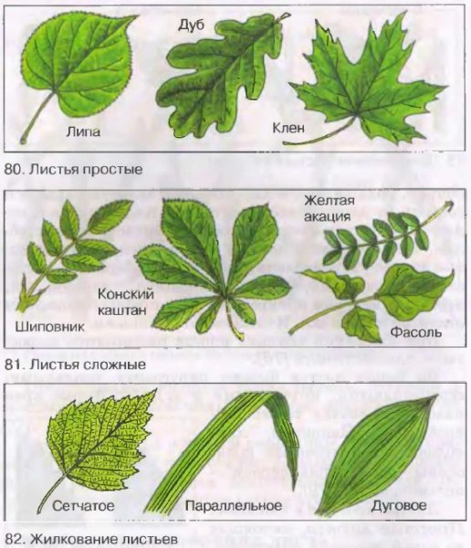 Математические раскраски 3 класс