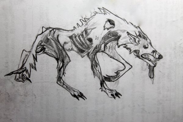 Brian Serway волки