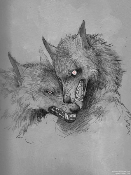 Волк арт