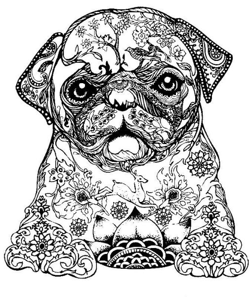 Раскраска антистресс ъ