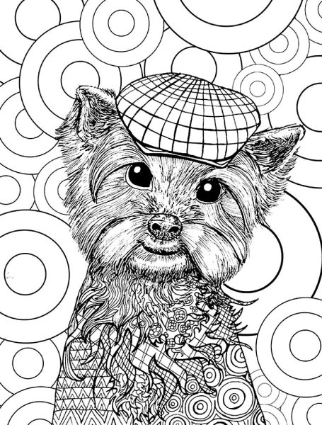 Раскраски антистрессобака