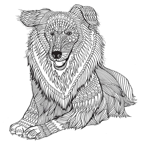 Раскраска-антистресс. Собака