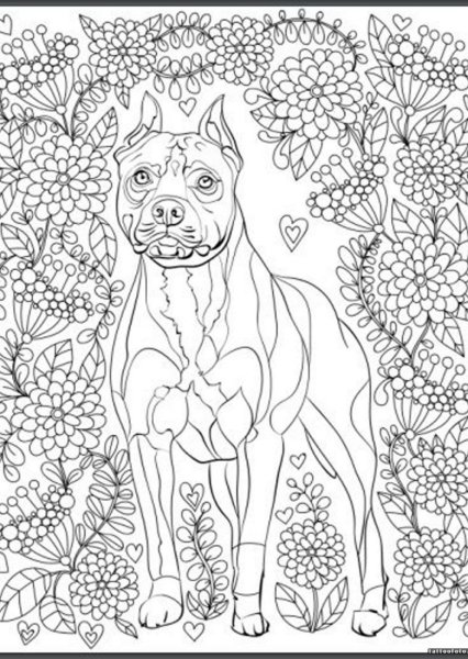 Раскраска собака для взрослых