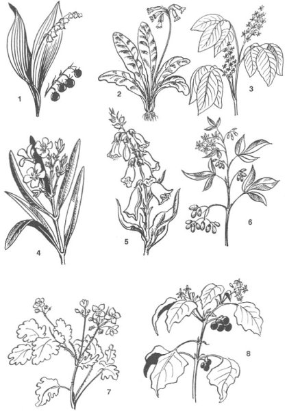 Ядовитые растения