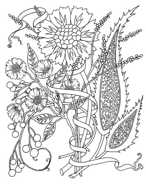 Раскраска антистресс "цветы"