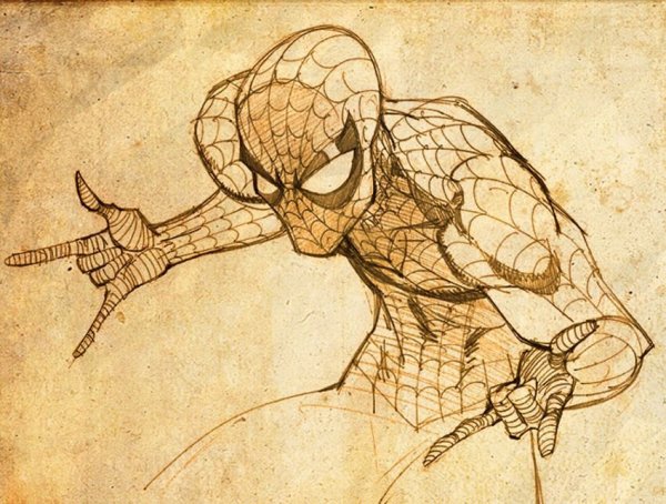 The amazing Spider-man рисунок