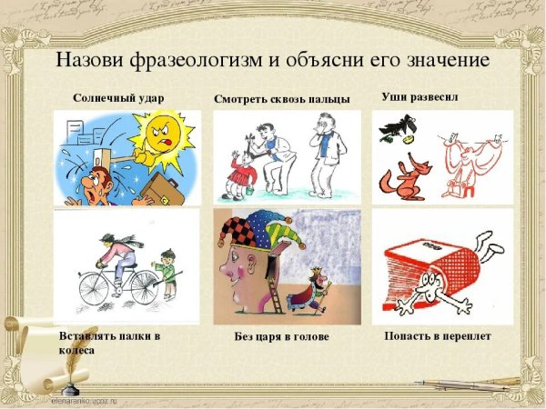 Интересные фразеологизмы в картинках