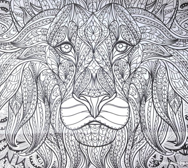 Mythomorphia Kerby Rosanes