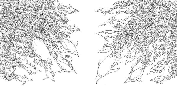 Керби Розанес метаморфозы экстремальные раскраски