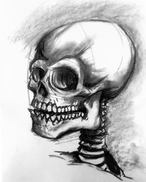 Череп тушью