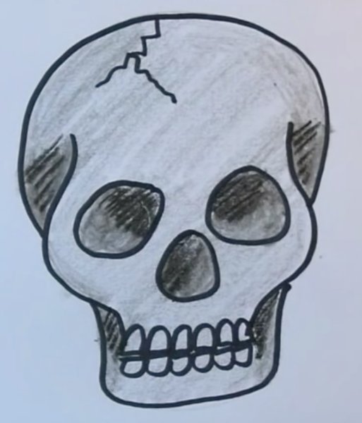 Череп скетч