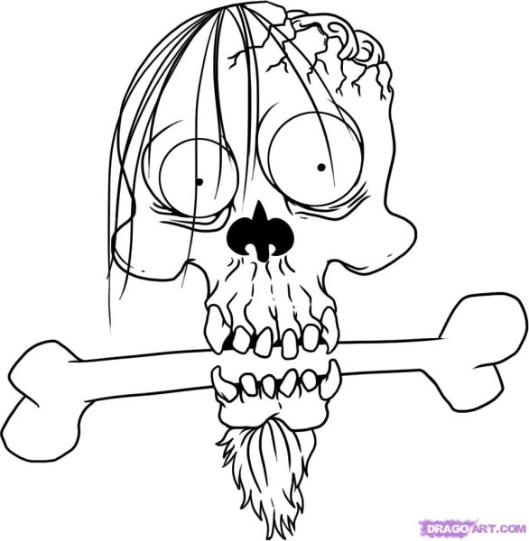 Череп рисунок карандашом