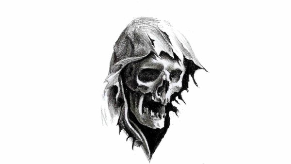 Череп черно белый