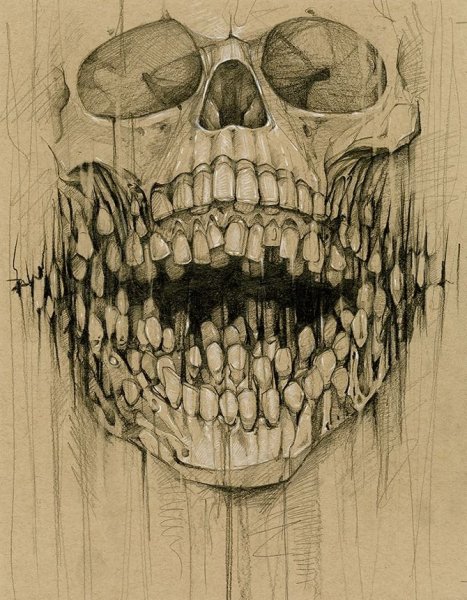 Скелет черно белый