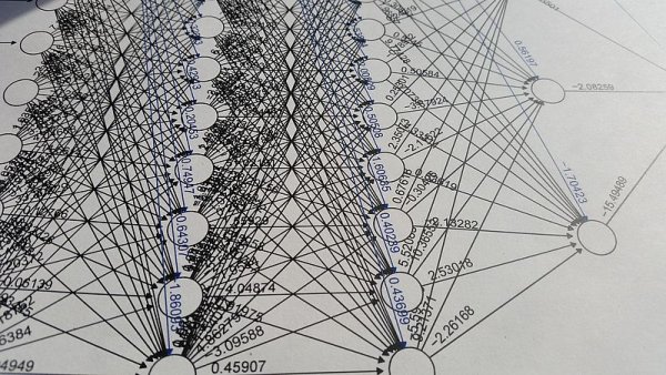 Сложная система