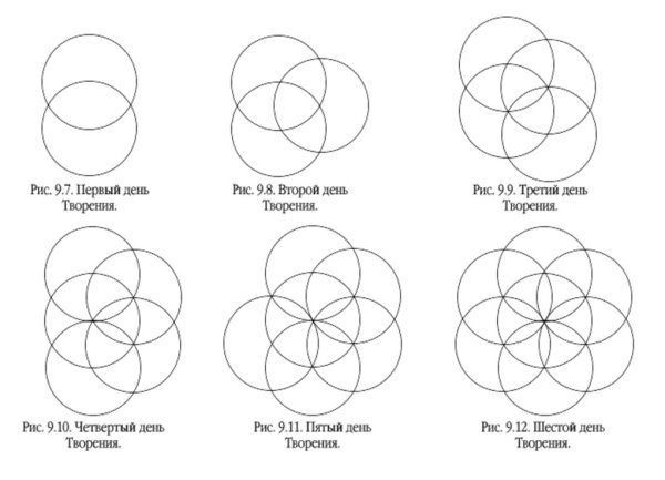 Как нарисовать цветок с помощью циркуля