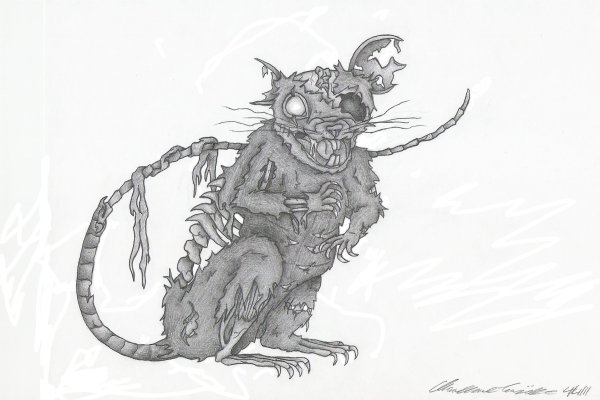 Опоссум тату