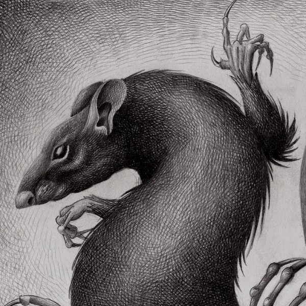 Крыса арт
