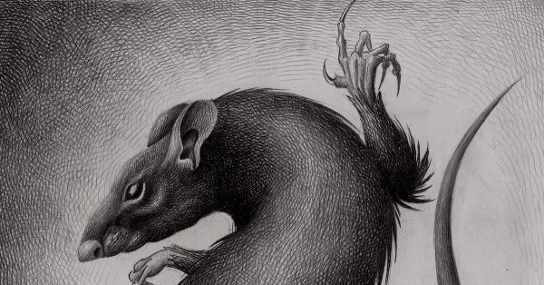 Крыса Блейз