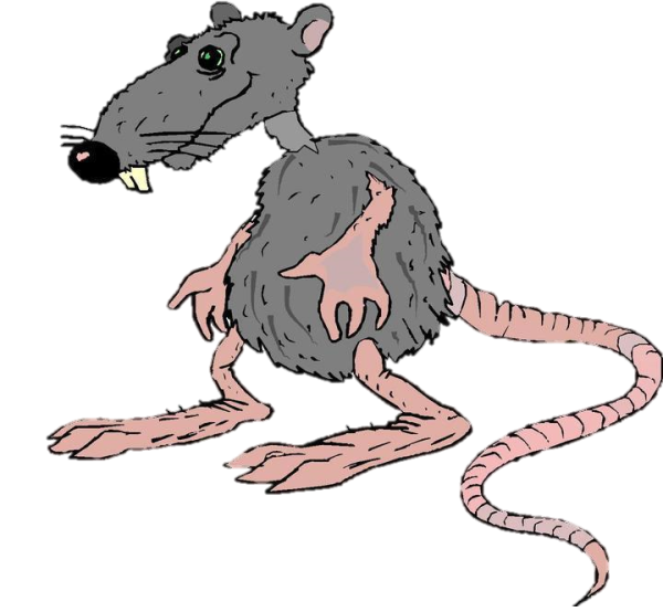 Rat для детей